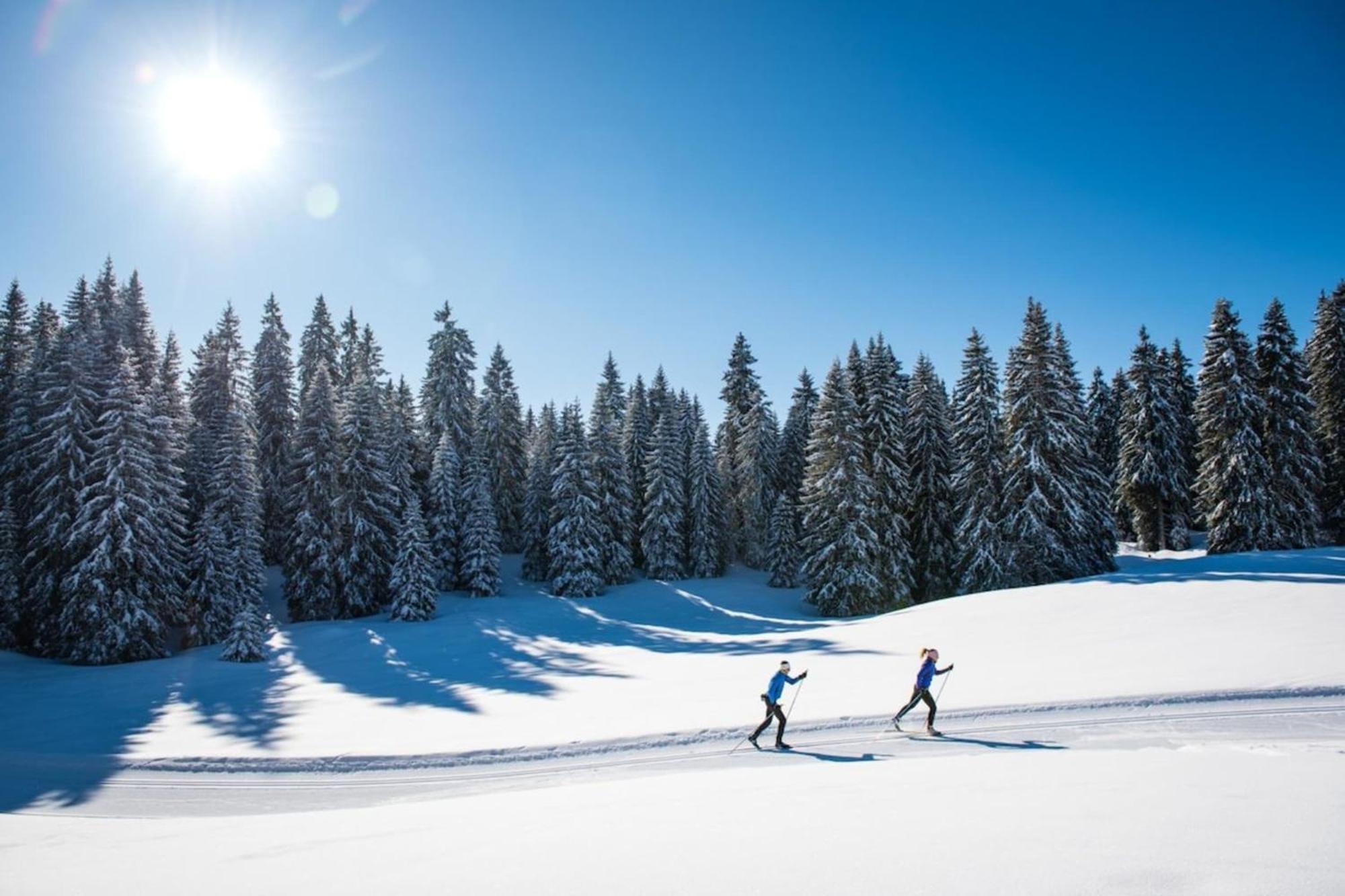 Superbe Appartement Au Pied Des Pistes -Le Chamois Les Deserts  Bagian luar foto